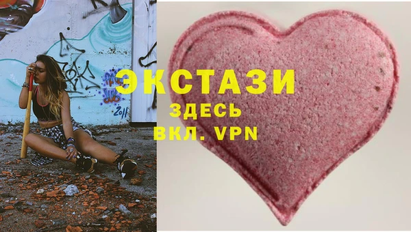 гашик Алексин