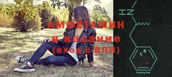 гашик Алексин