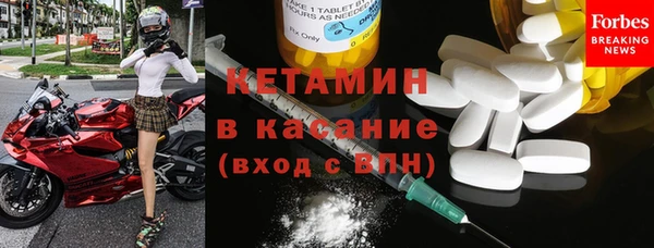 гашик Алексин