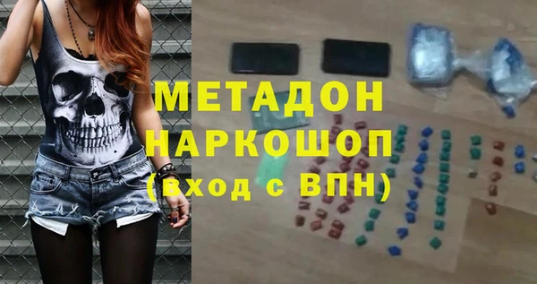 гашик Алексин